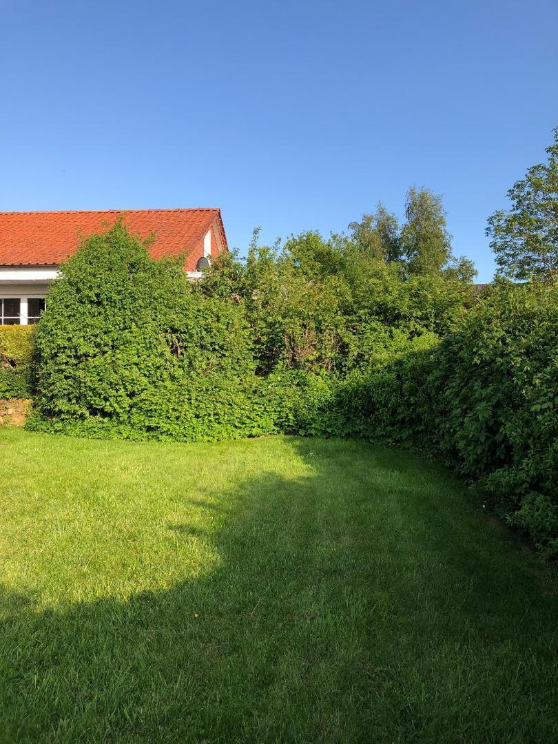 Schleihaus Hinterm Deich Villa Kappeln Eksteriør billede